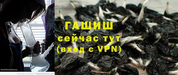 сатива Армянск