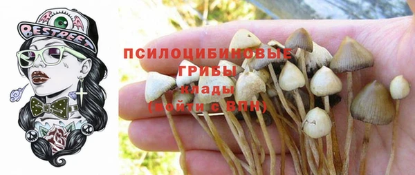 a pvp Арсеньев