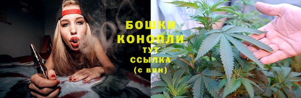 сатива Армянск